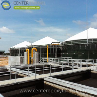 Balon Penampung Biogas untuk Sistem Pengumpulan Biogas: Komponen Integral untuk Pengumpulan Gas dan Pengaturan Tekanan