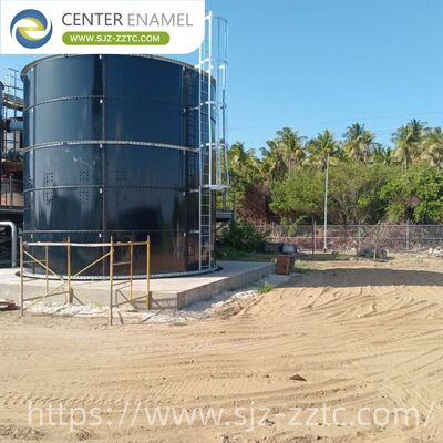 Center Enamel Provides Anaerobic Digestion Technology for Malaysia Food Processing Wastewater Treatment Project
