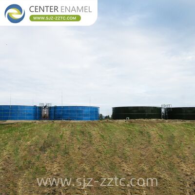 Center Enamel Provides Anaerobic Digestion Technical Solutions for Brunei Citrus Processing Wastewater Treatment Project