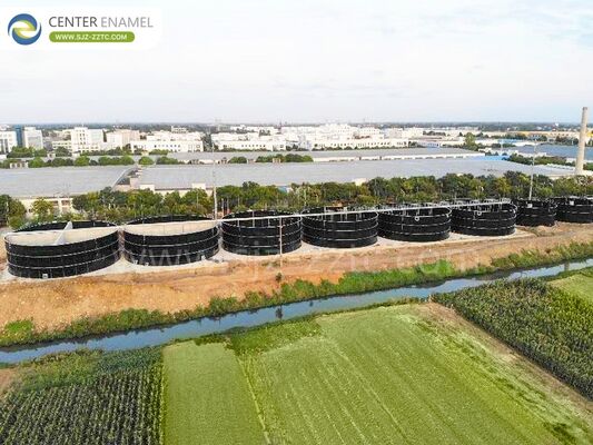 Premium Biogas Projects and GFS Tanks for Vietnam Poultry Farm Wastewater Treatment