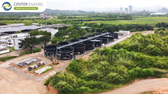 Pengolahan Limbah Buah dan Sayuran di Republik Demokratik Kongo: Kontraktor Proyek Biogas dengan Tangki GFS