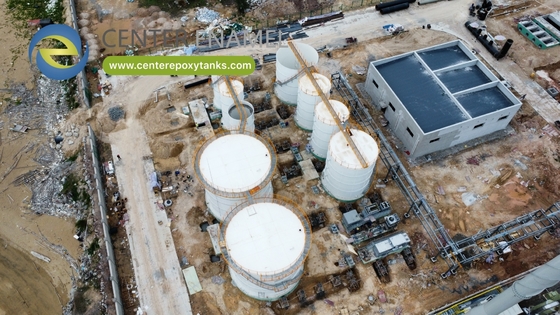 Tangki Baja Berlapis Epoxy untuk Digester Pertanian: Mendukung Pengolahan Limbah Organik di Peternakan