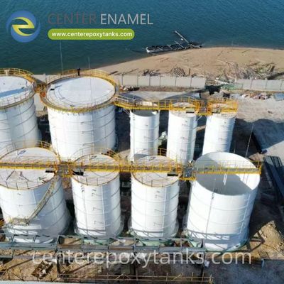 Tangki Berlapis FBE untuk Pabrik Biogas: Menyediakan penampungan yang andal dan tahan korosi untuk pencerna anaerobik.