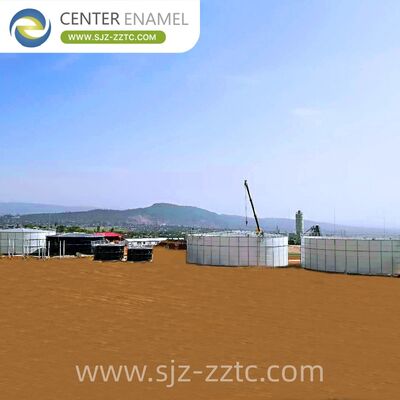 Center Enamel Provides Anaerobic Digestion Technical Solutions for India Citrus Processing Wastewater Treatment Project