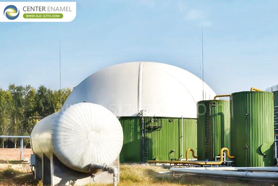 Kontraktor EPC untuk proyek biogas kotoran sapi di Chad: Tangki GFS Premium dan Proses CSTR