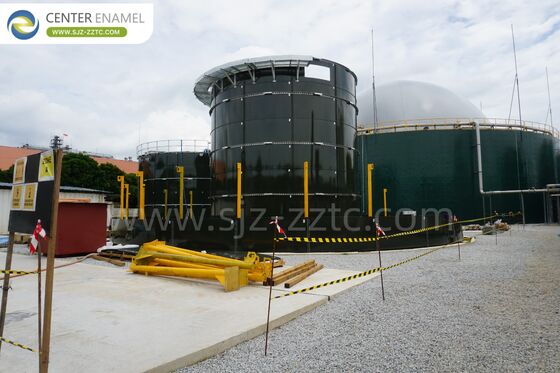 Mengubah Limbah Sapi menjadi Energi untuk Tanzania: Teknologi Biogas dengan Tangki GFS dan Proses CSTR