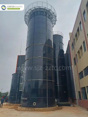 Solusi Pengolahan Air Limbah Peternakan Unggas Tingkat Lanjut di Chad: Proyek Biogas dengan Tangki GFS + Proses CSTR