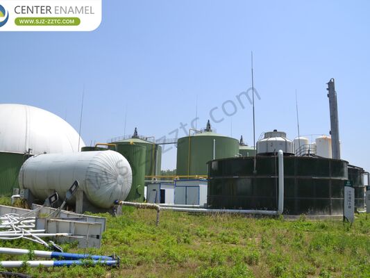 Kontraktor proyek biogas terkemuka dengan proses CSTR untuk pengolahan pupuk sapi Afrika Selatan