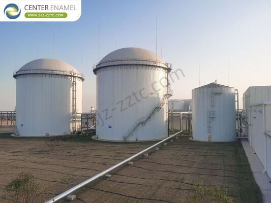 Leading GFS Tanks and Biogas Power Plant for Sudan Silage Straw into Biogas