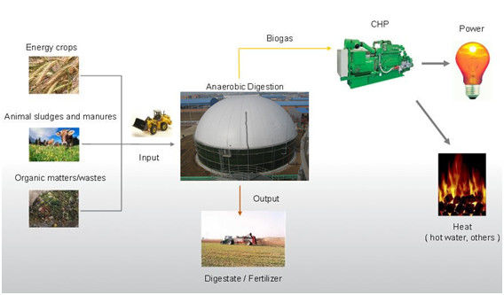 EPC USR/CSTR Biogas Fermentasi Anaerob Biogas Tangki Penyimpanan Limbah ke Energi Proyek Pabrik 1